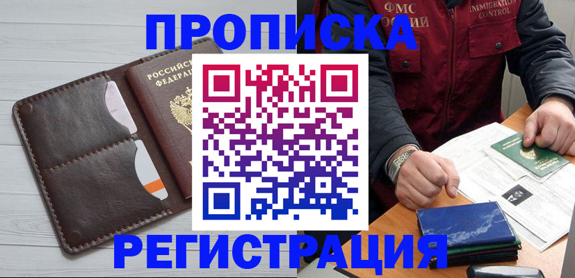 временная регистрация надежно в Камчатском крае